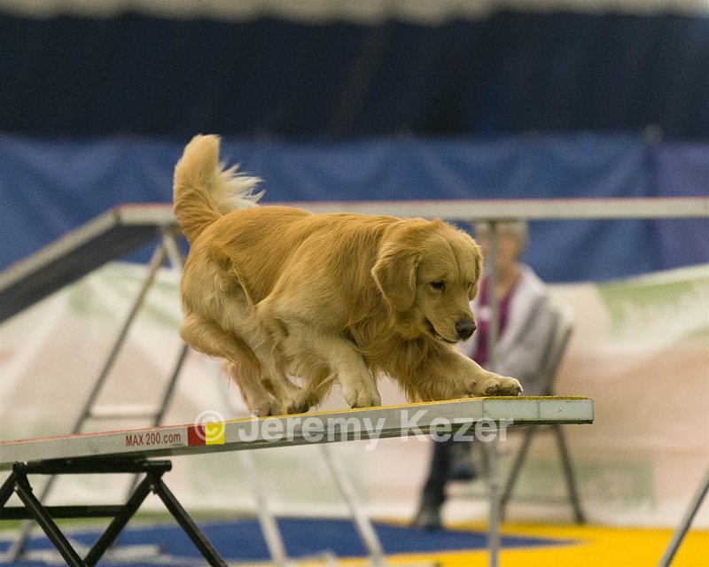 20150321-LEAP-0519.jpg