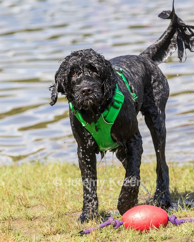 20170820-CWD-0038.jpg