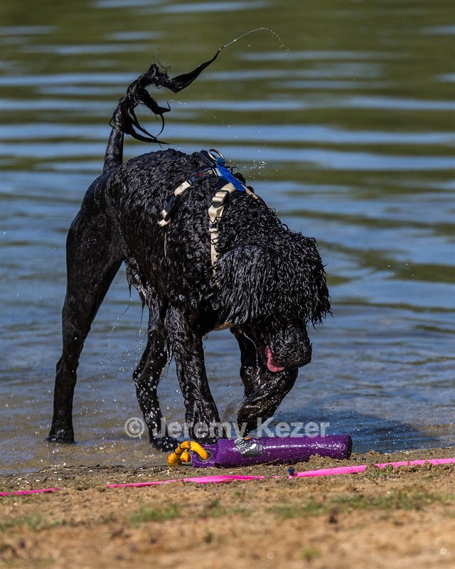 Ziva Hyres