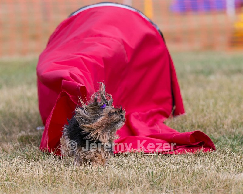 20150613-CCKC-0039.jpg