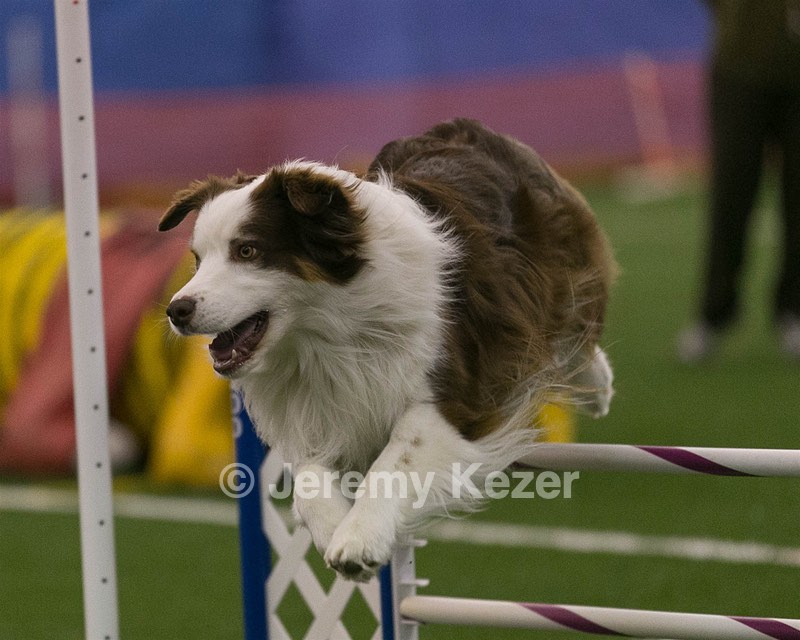 20150321-LEAP-0306.jpg