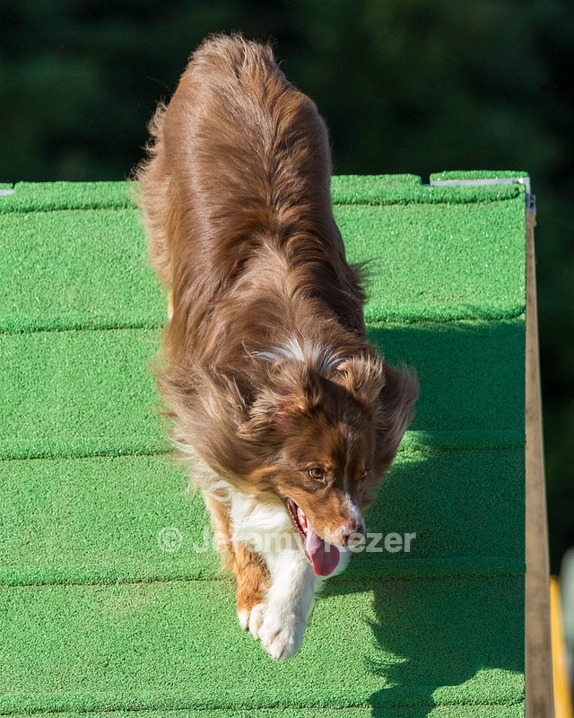 20160618-CCKC-2458.jpg