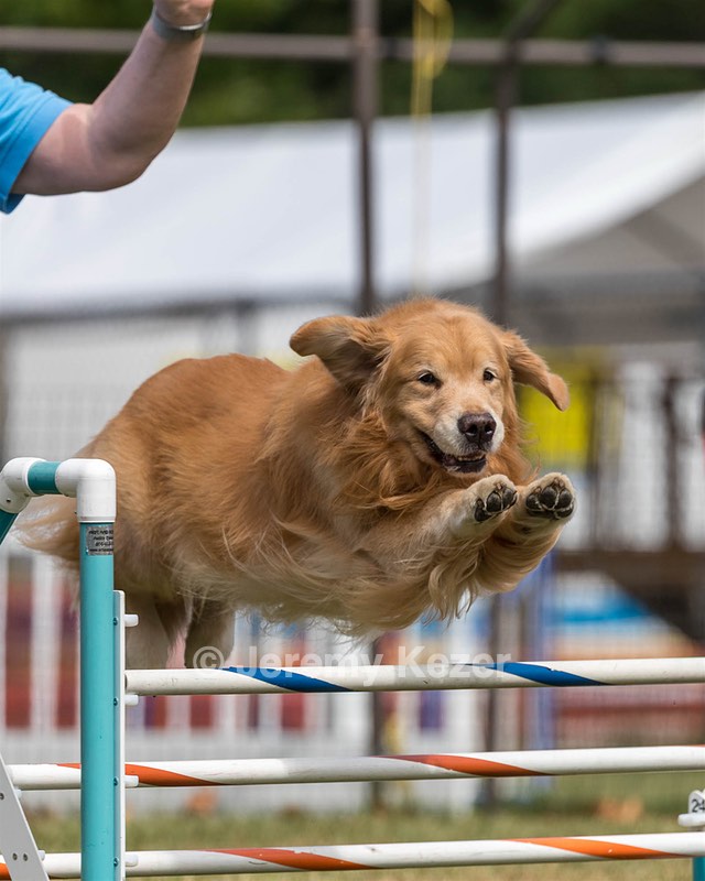 20200819-1339.jpg