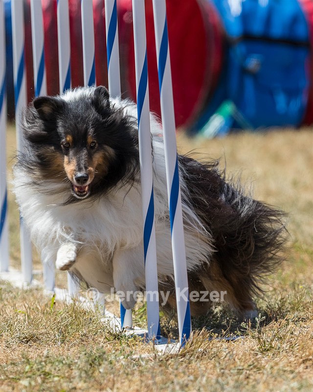 20160618-CCKC-1822.jpg