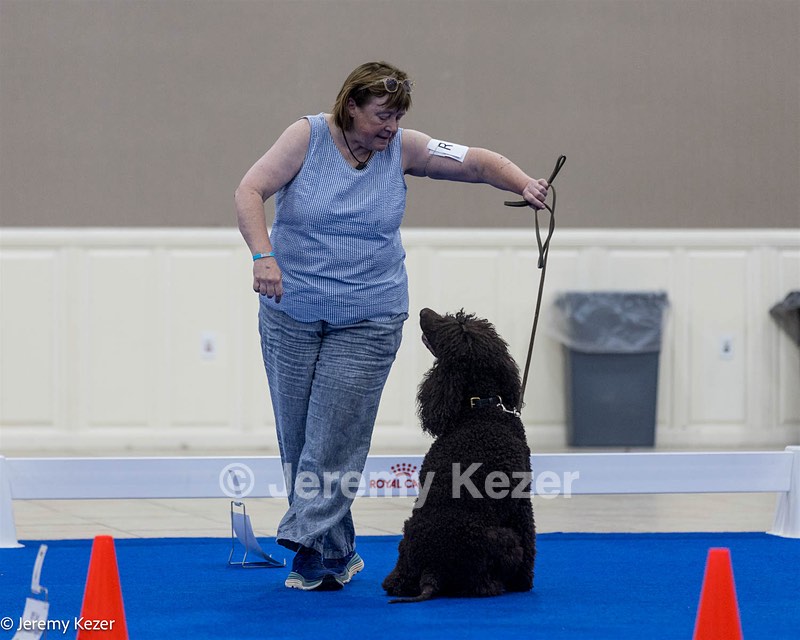 R15 - GCH CH LANDACRE'S NORDIC SAILOR DN CGC TKI