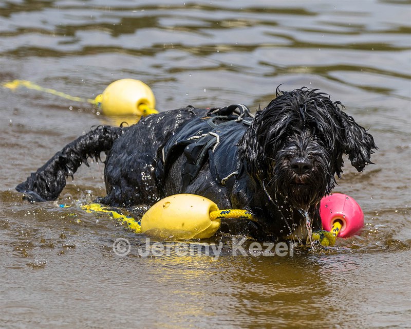 "Blaze" & Tim