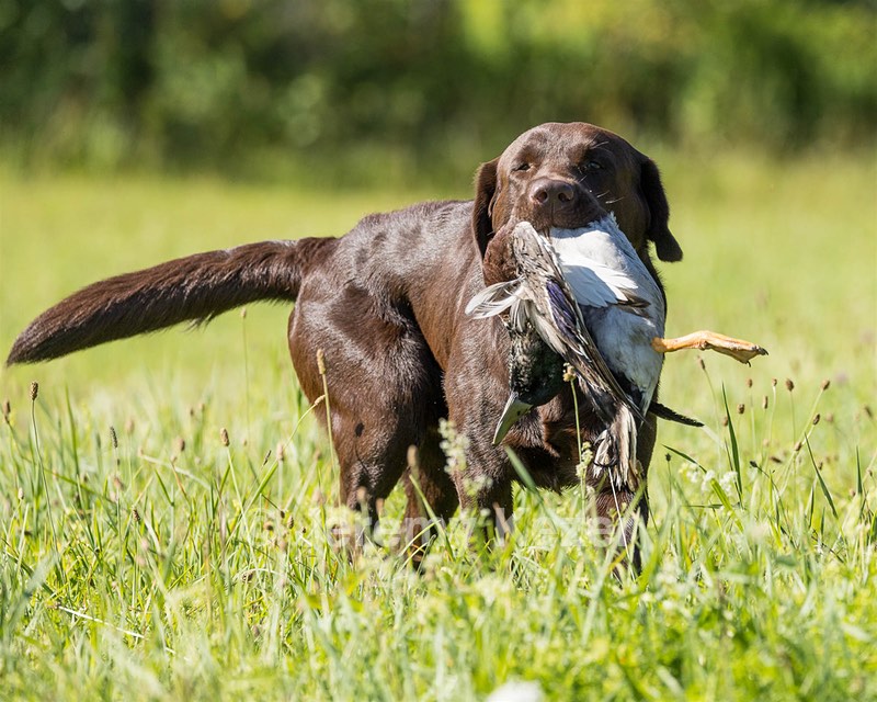 Gunny Fisher