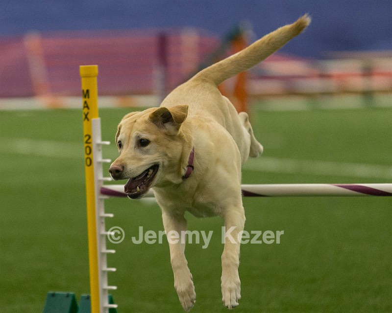 20150321-LEAP-0918.jpg