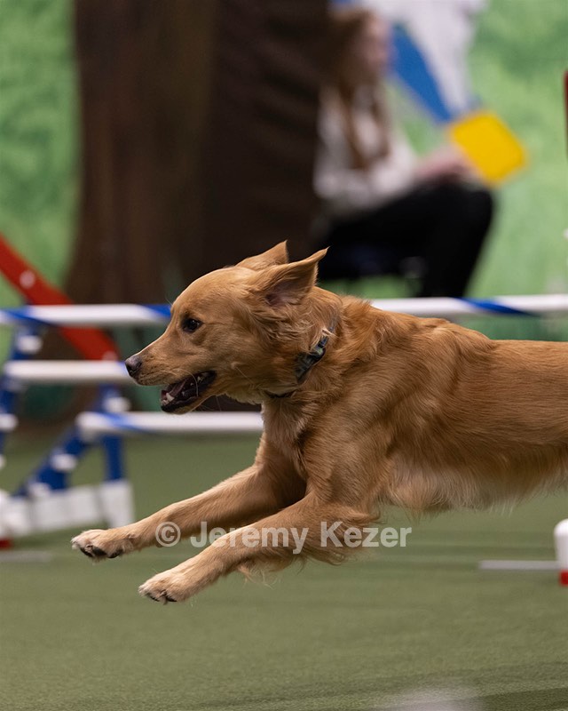 20260221-0853.jpg