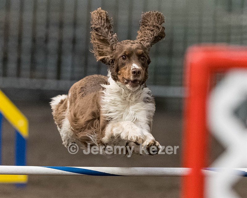 Weiser Carleton