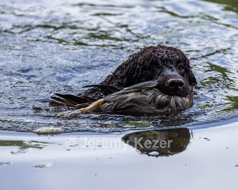 Ghillie Kezer