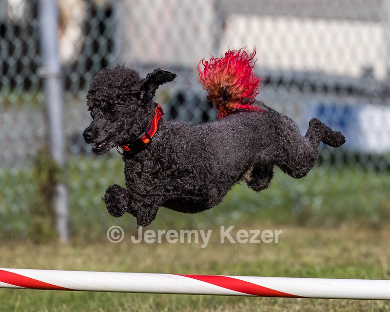 Fly Kearney
