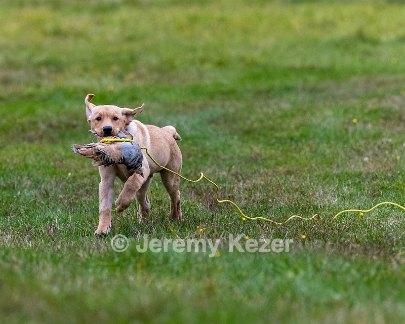 Quinn Freeman