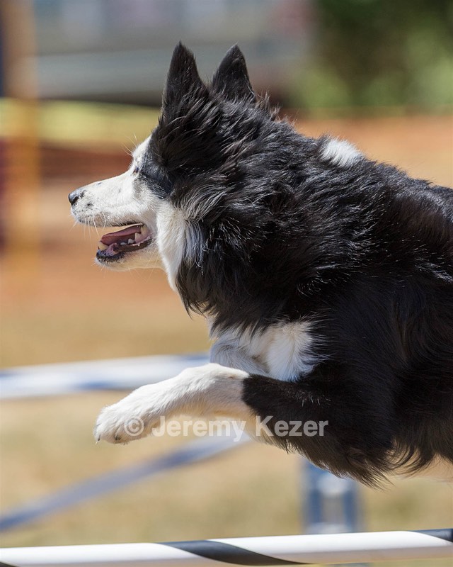 20160618-CCKC-1548.jpg