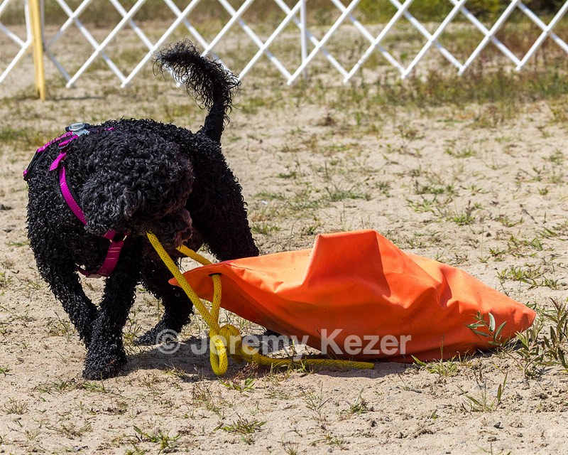 Tango Abbruzzese