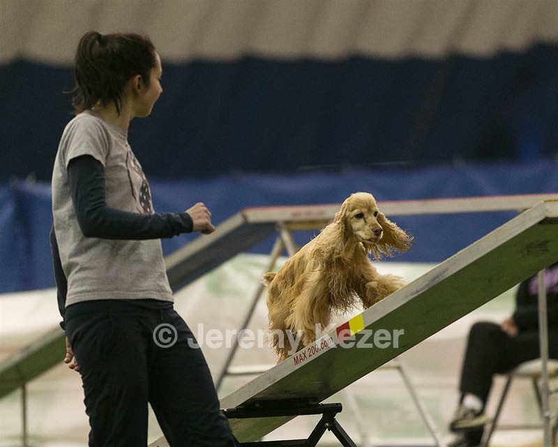 20150321-LEAP-1285.jpg