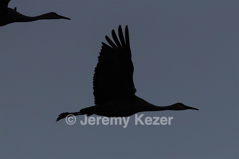 20151205-1300.jpg