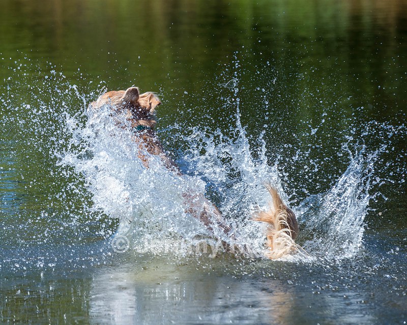 Rant Hocker