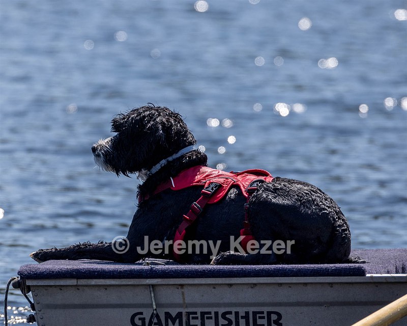 Mizzen Kutner