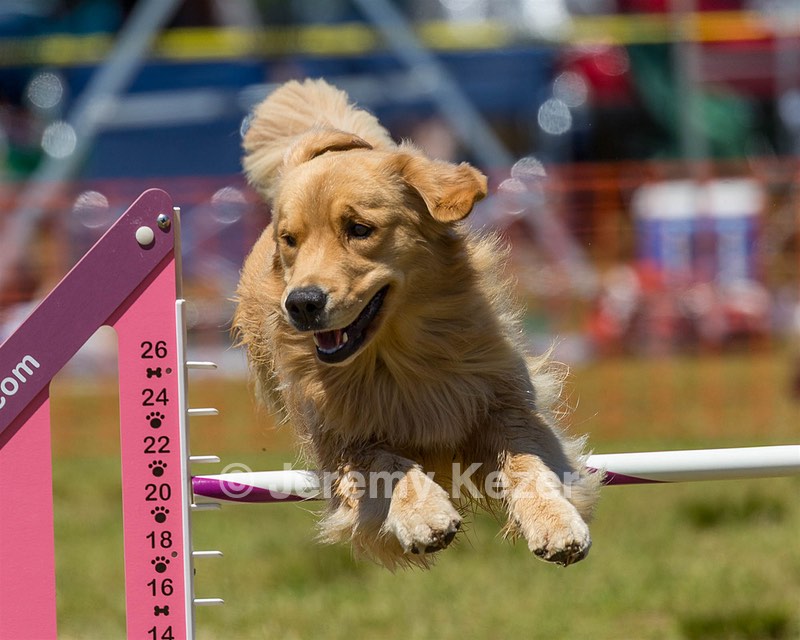 20190615-CCKC-1067.jpg