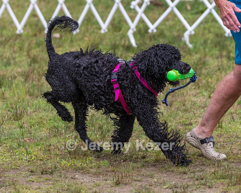 "Tango" & Cathy