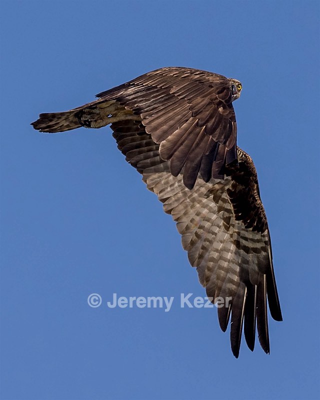 Osprey, Maryland