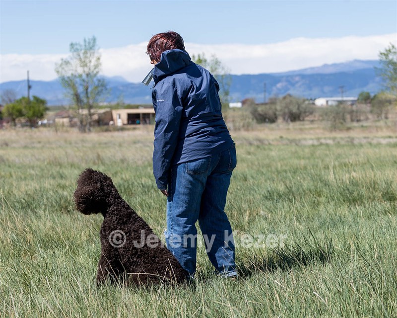 Ghillie