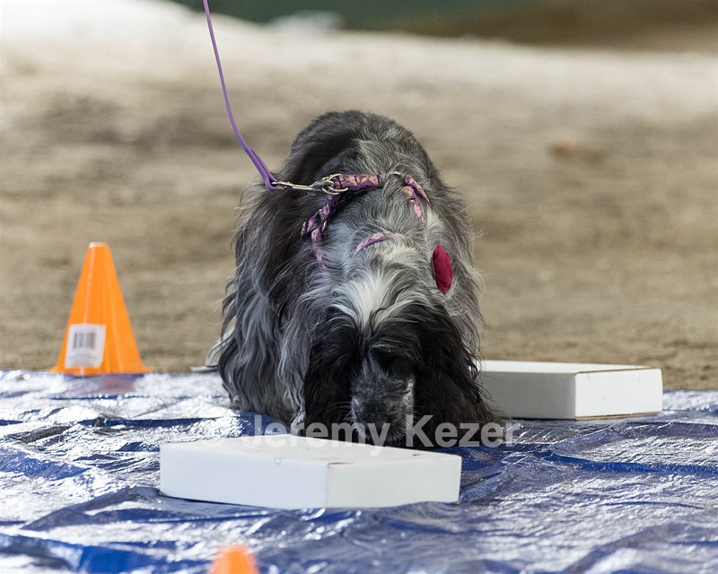 20260718-NSKC-0187.jpg