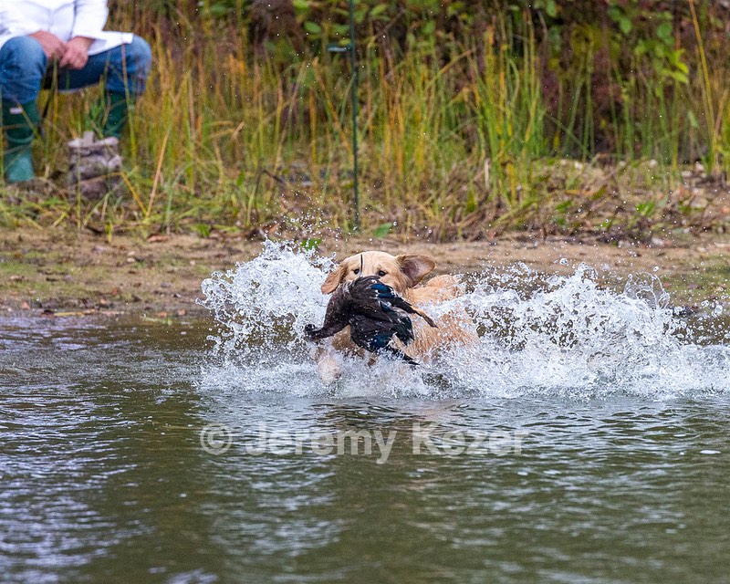 20161008-WCXW-0046.jpg