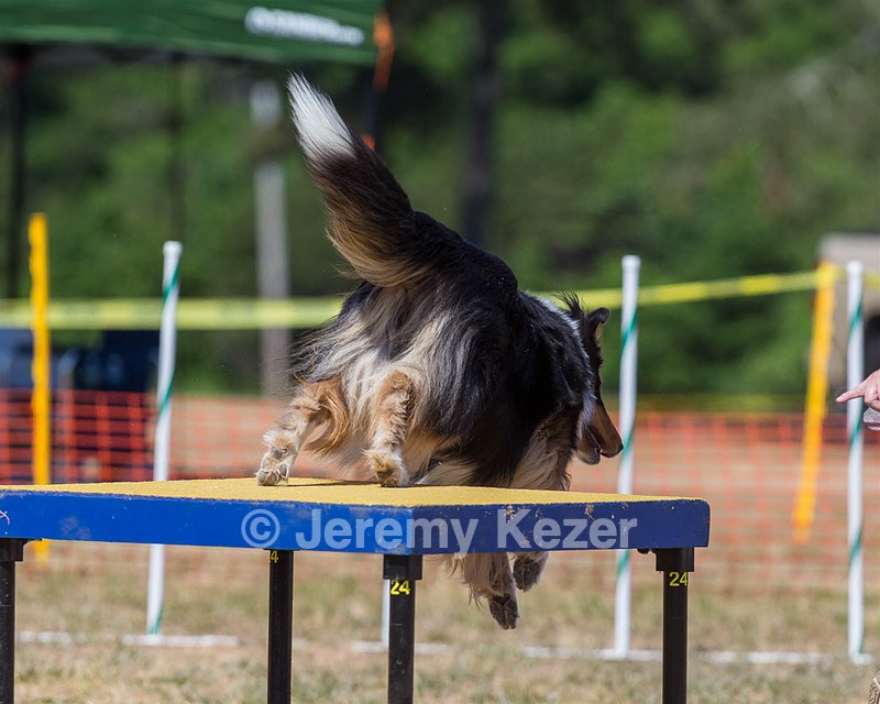 20160619-CCKC-1624.jpg