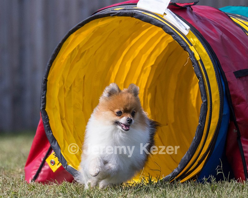 Vroom Truskowski