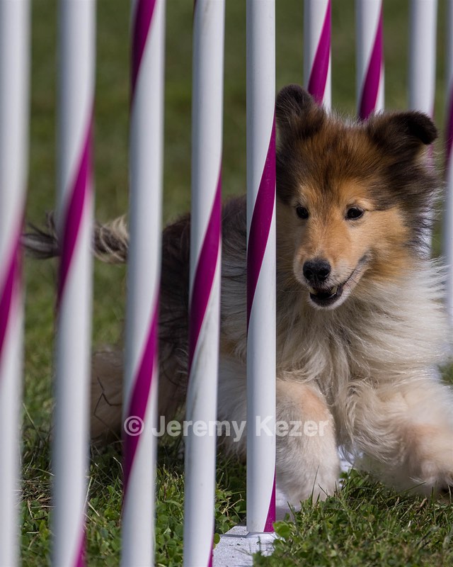 20230916-PVKC-1097.jpg