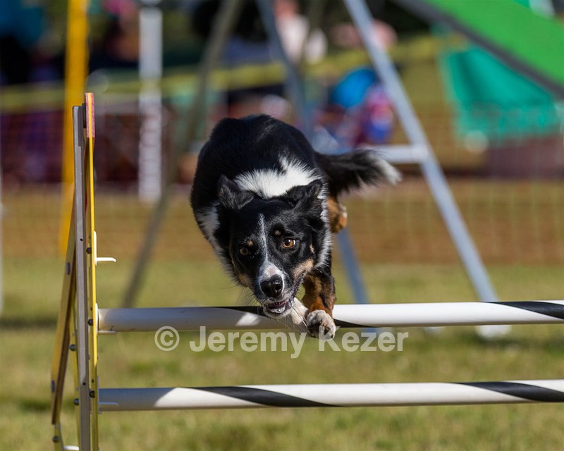 20190615-CCKC-0075.jpg