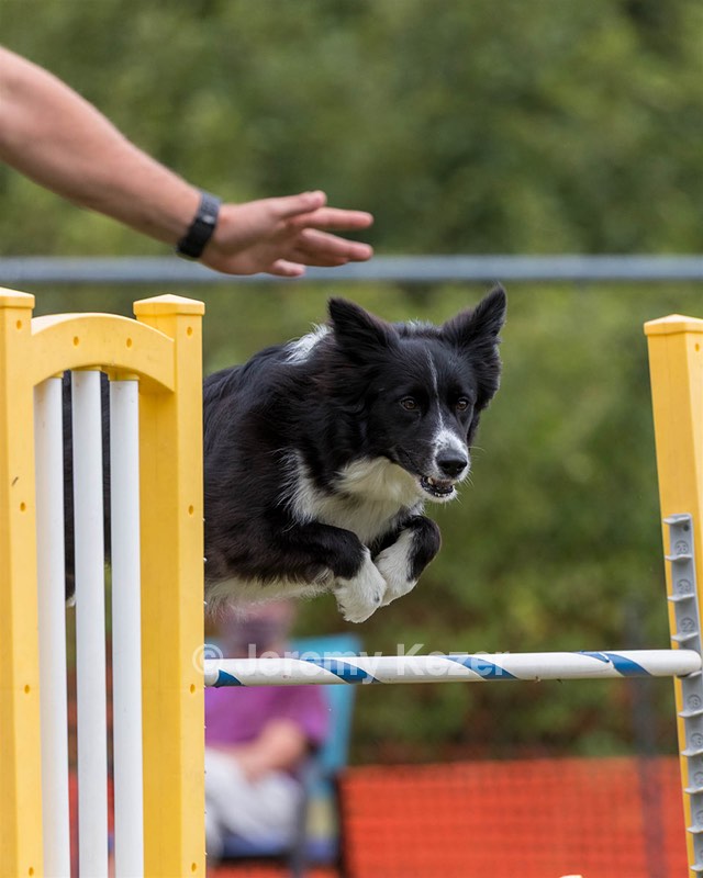 20200819-1531.jpg