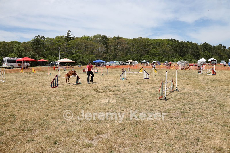 20150614-CCKCMC-0116.jpg