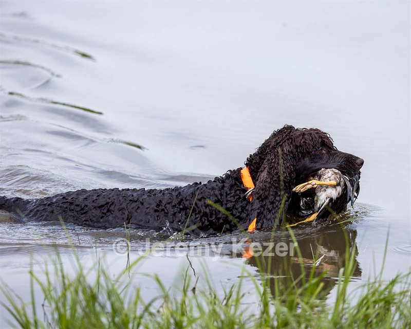 Ghillie Kezer