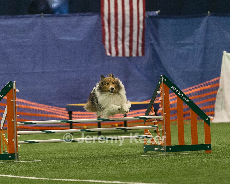 20150321-LEAP-1379.jpg