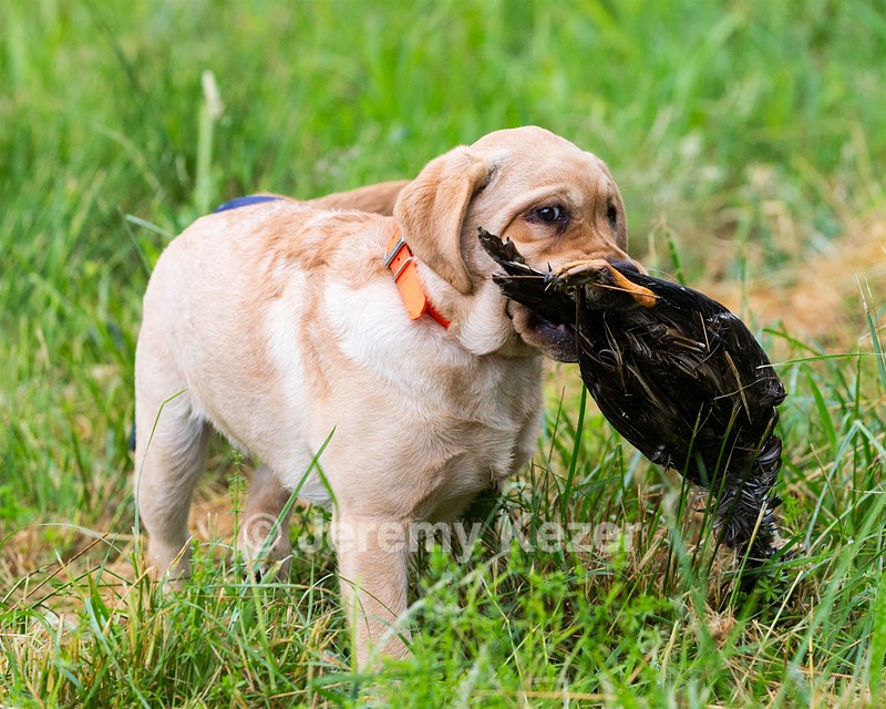 20160605-C-0023.jpg