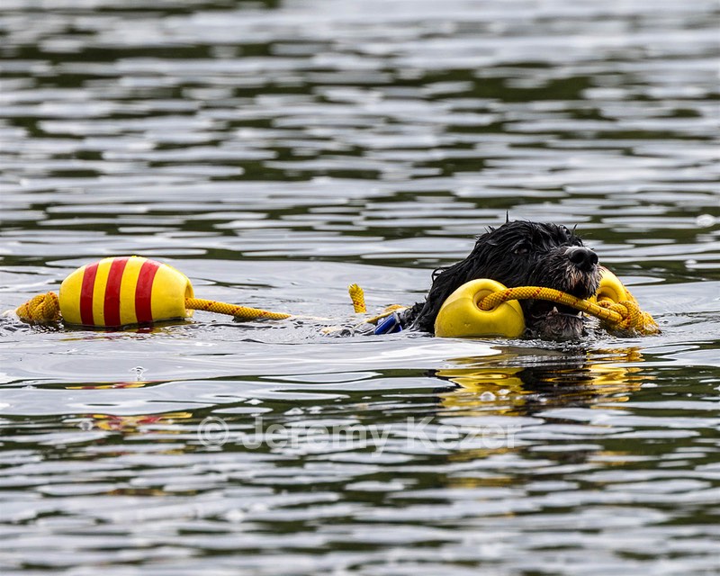 Windy Nottingham