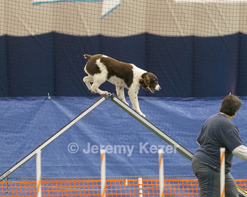 20150321-LEAP-1432.jpg