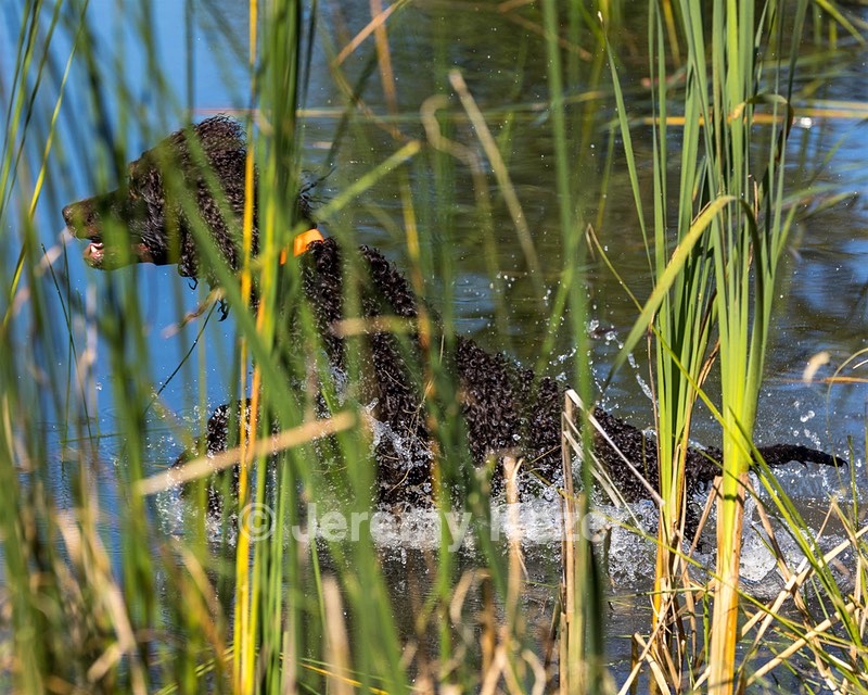 Ghillie Kezer