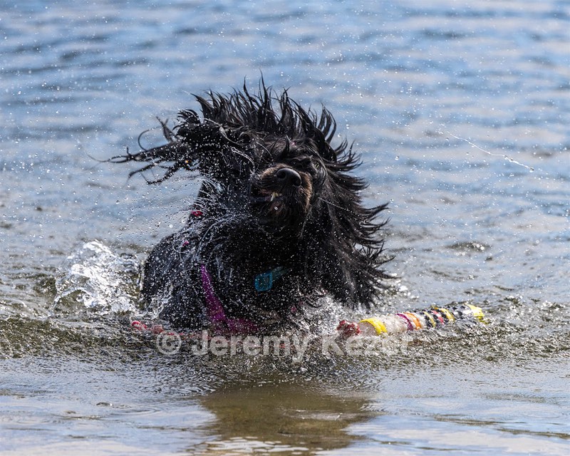 Penny Toby-Ann