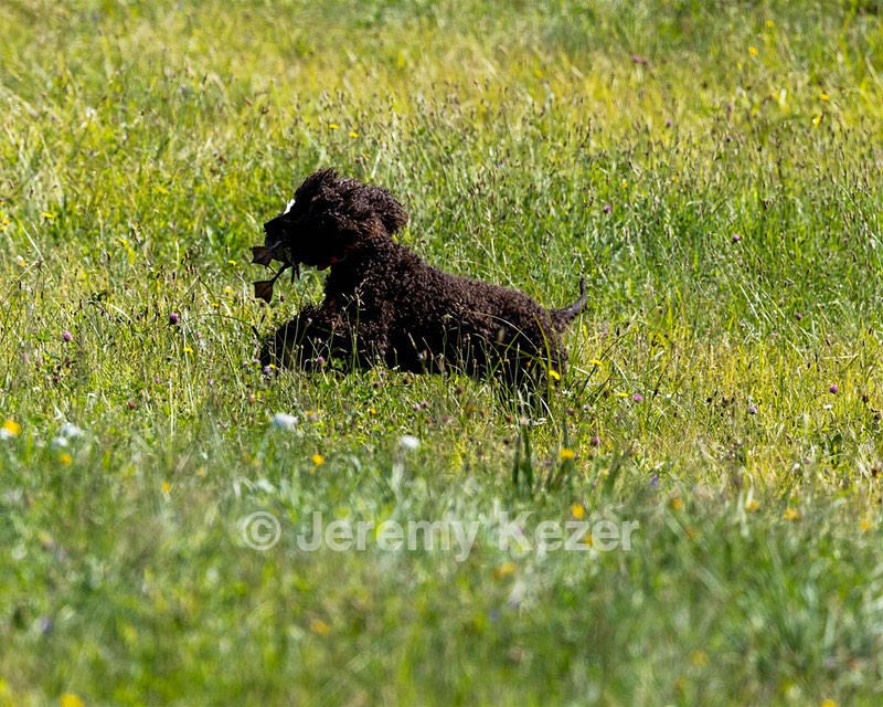 Ghillie Kezer