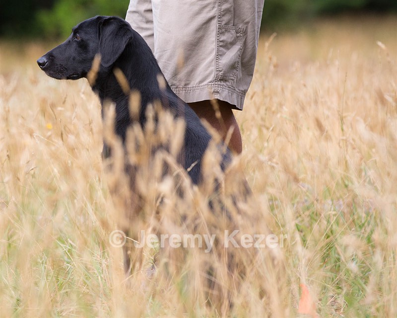 Avery Price
