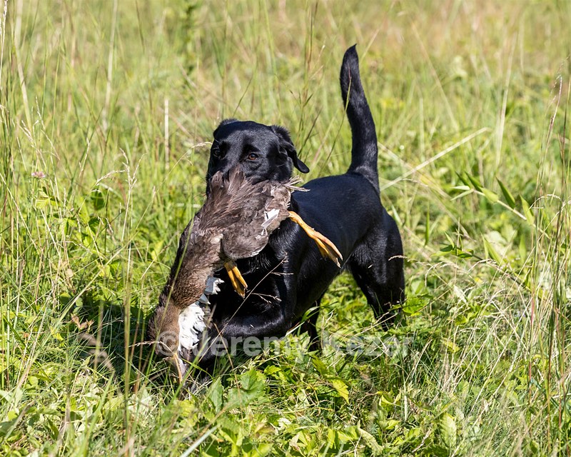 Delta Logan