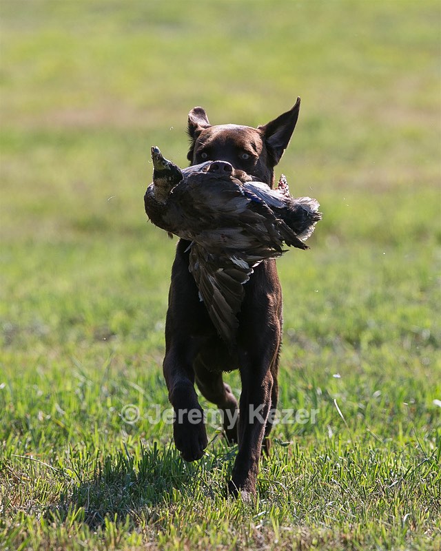 20140809-JHL-0097.jpg