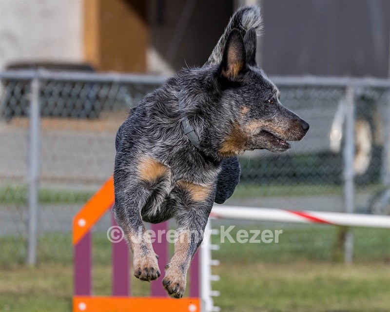 Bree Spetla