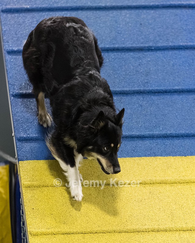 20260627-STCGNY-2131.jpg