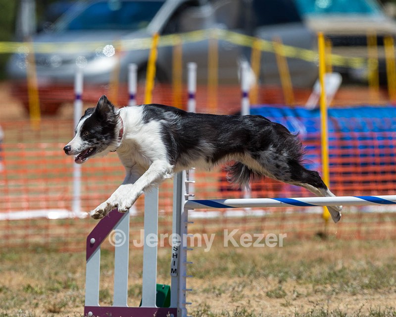 20160619-CCKC-1065.jpg