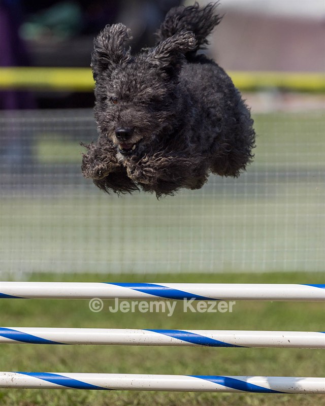 Frankie Barnum